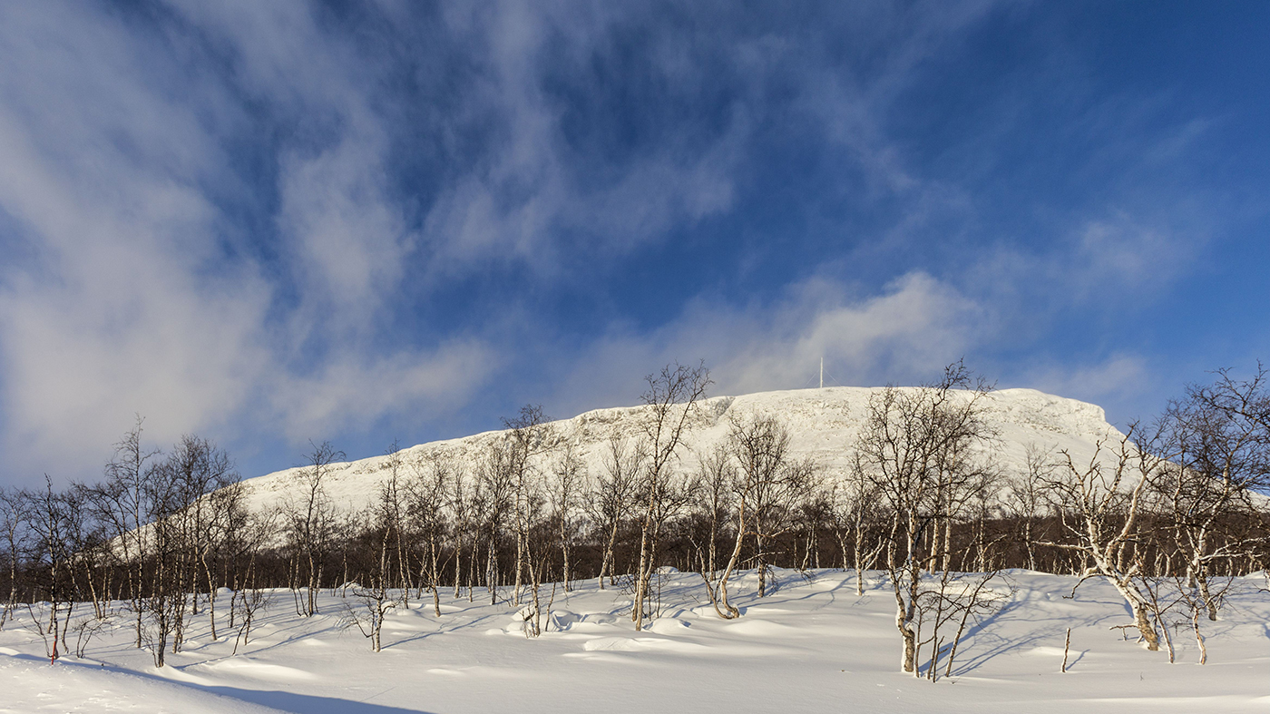 Luminen Saana-tunturin maisema.